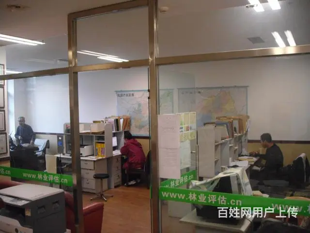 树木损毁赔偿价格评估鉴定机构 - 图片 2