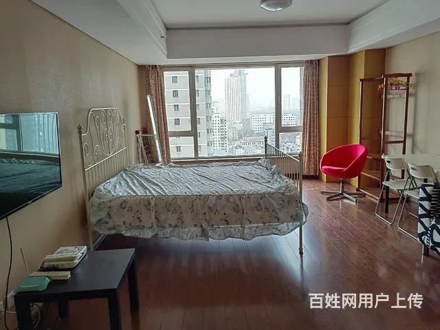 青年大街沿线，地段繁华，精品公寓 - 图片 1