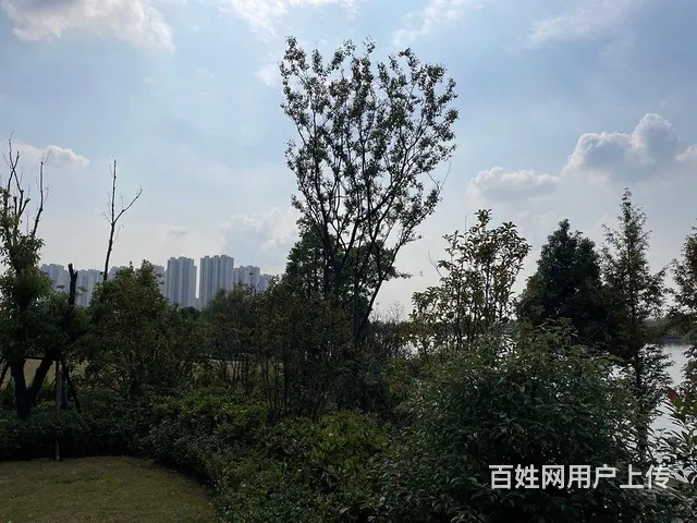 捡漏湖景房！全椒罗马世纪城 高铁站旁 轻轨口 碧桂园自持物业 - 图片 12