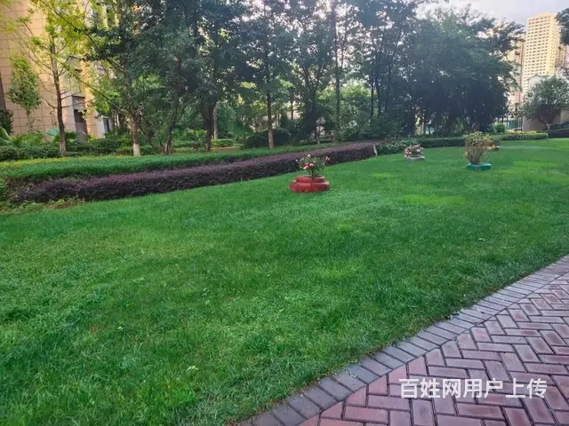 红星国际 普通住宅 精装修 - 图片 10