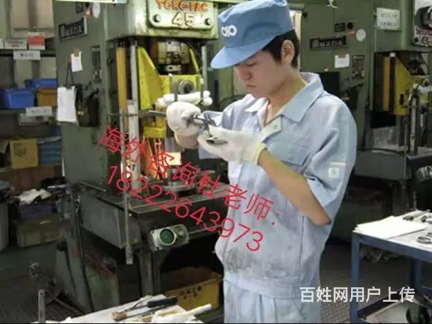 出国全球（无费用）年薪60万华人雇主直招 - 图片 2