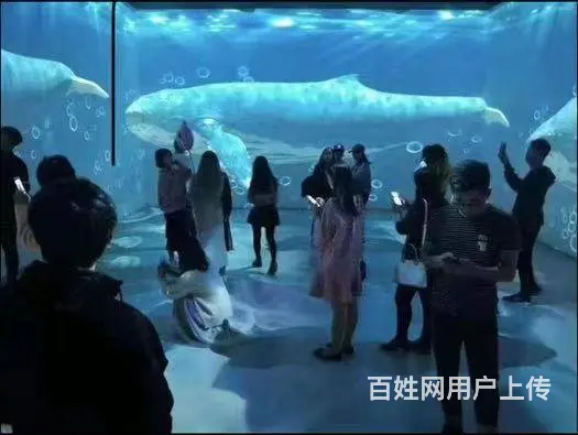 盐城暖场全息投影设备租赁 沉浸式全息投影设备供应商 - 图片 1