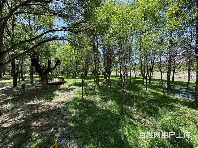 BP个人 亿林露营基地转让 - 图片 6