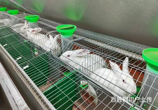 娄底到长沙网约车拼车电话 长沙到娄底黑车商务车 - 图片