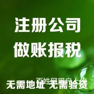 公司注册直通车：直达商业巅峰 - 图片