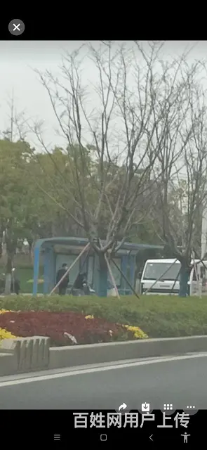 征婚 - 图片