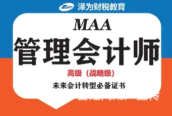 什么是管理会计师 - 图片