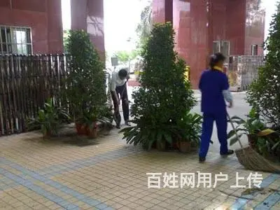 海珠新港工厂清洁工，钟点保洁阿姨，广州保洁外包公司 - 图片 3