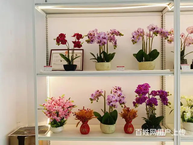 （51旺铺推荐）南山景区20平礼佛鲜花坊店转让 - 图片 7
