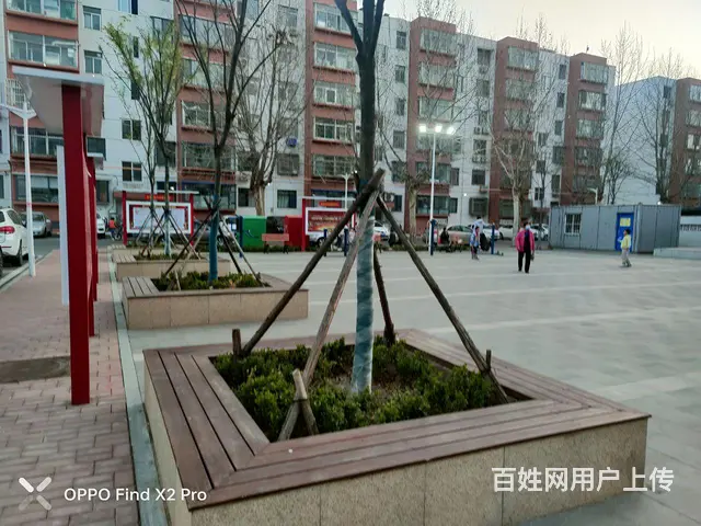 迎春园 - 图片 9