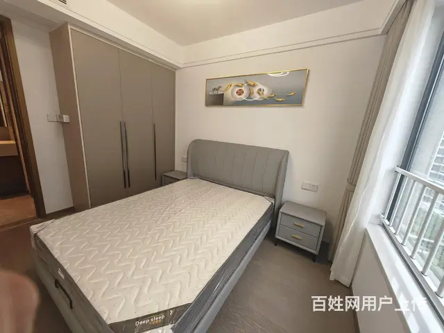 紫薇公寓精装2房新安铭苑闸弄口机神公寓天城国际东茂苑带车位 - 图片 4