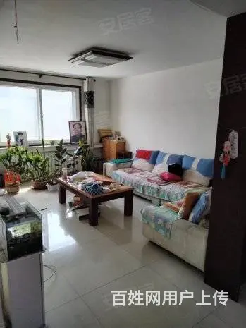 洪山大产权120急售39 普通住宅 简单装修 - 图片 5