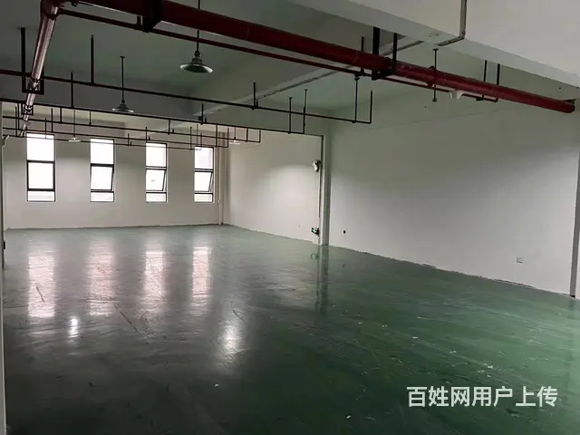 （老板本人）芙蓉区中央产业园标准厂房出租  5504 - 图片 4