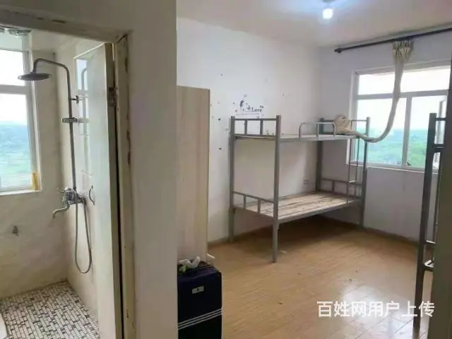 280/天口罩包装坐岗可短期走结 - 图片 2