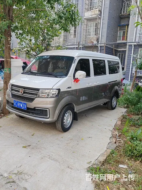 全新金杯小海狮 - 图片 1
