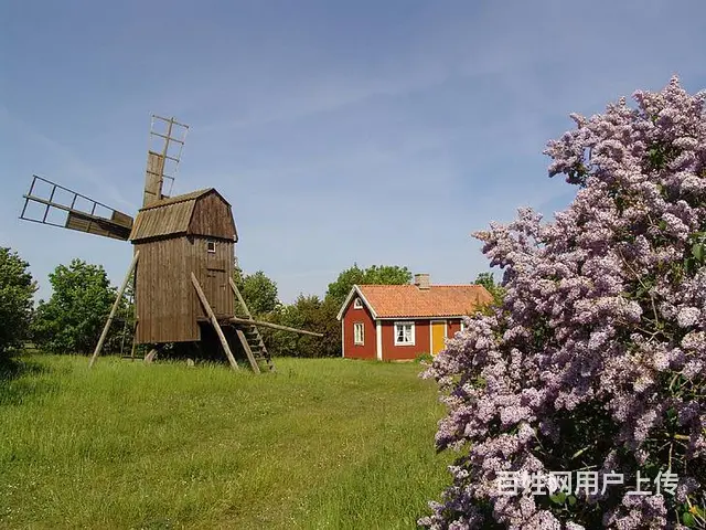 苏州金桥翻译社公司意大利语笔译翻译 - 图片