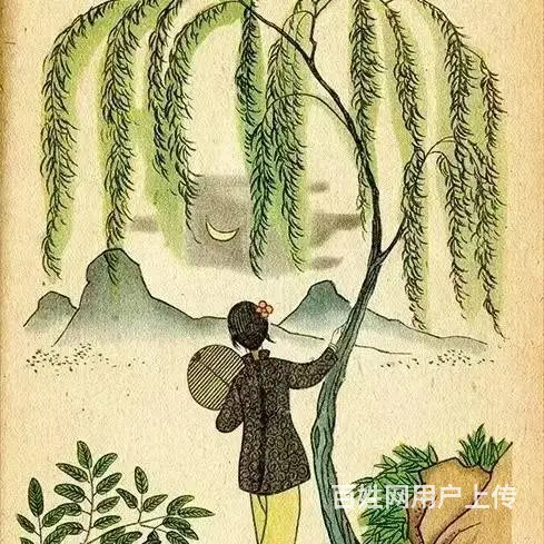 冬季到湖畔来看鱼… - 图片 1