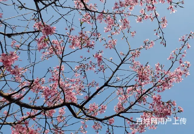 广州白云区徒步登山好去处 - 图片 1