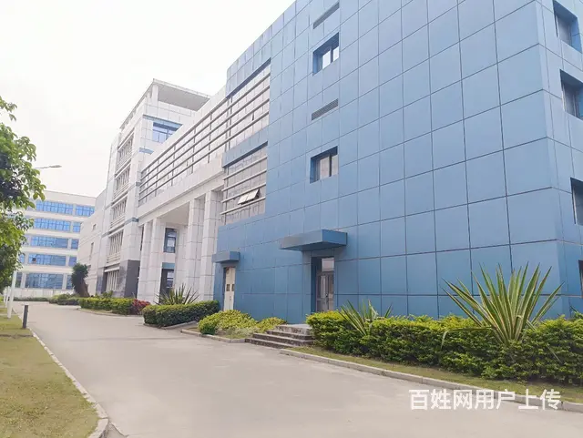 新阳工业区标准厂房出租大小可分 - 图片 1