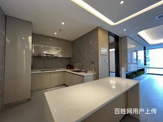 徐家棚 绿地铂瑞公馆2室2卫 巨厅 高层看江 接待 - 图片 10