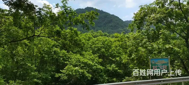 四川省绵阳江油市6240.4亩林地出售 - 图片 9