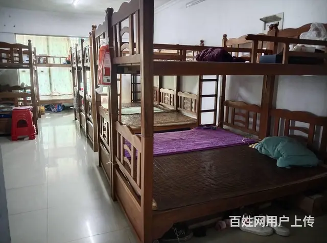 金盘实验学校旁佳佳经典小区90平学生寄宿托管中心转让 - 图片 5