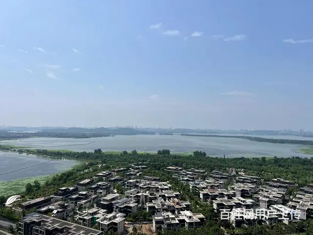 华侨城原岸 高层3房2卫 一线观东湖 无遮挡 南北 - 图片 11