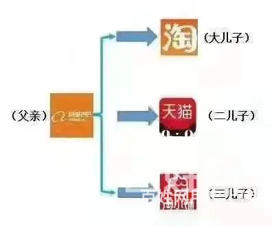 ：淘小铺资讯|淘小铺中菊导师 - 图片 11