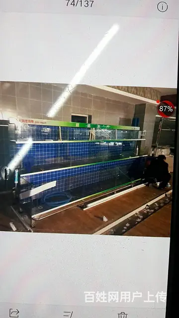 定做海鲜缸 - 图片 6