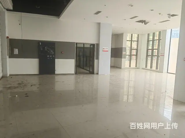 金恒德汽配城独栋商业招租万达广场硅谷经济区独栋精装 - 图片 3