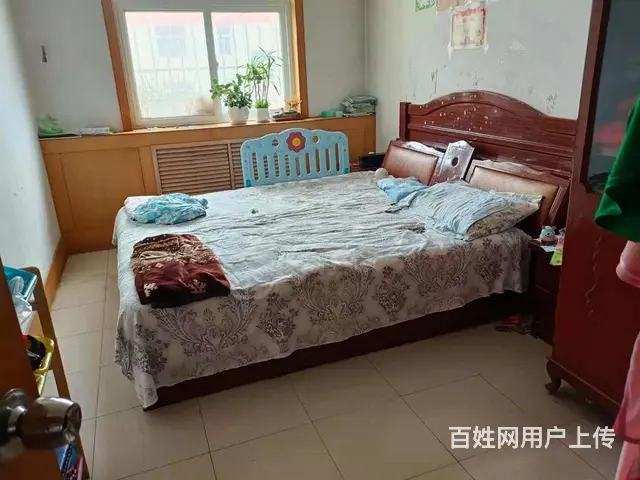莲河小区非顶双证双气带储朝南23平可改商铺样板坡上房，可议价 - 图片 7
