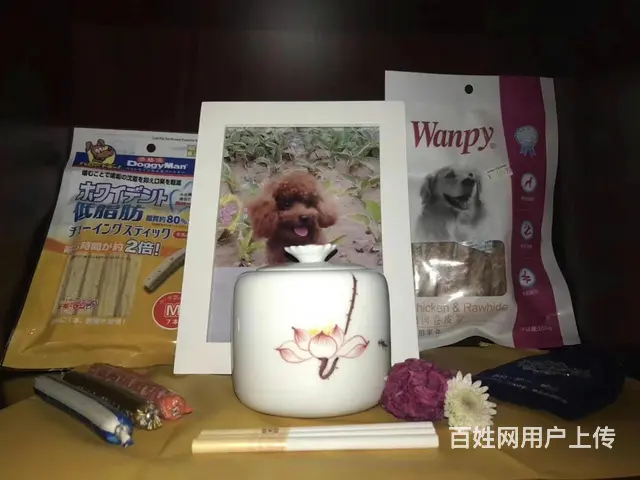 四平市宠物火化殡葬 - 图片 3