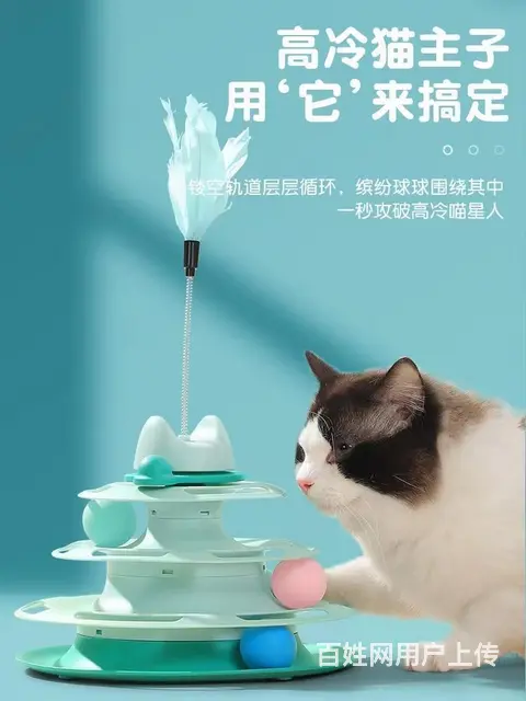 盐城阜宁宠物托运 （猫狗活体运输）宠物快递至全国 - 图片 1
