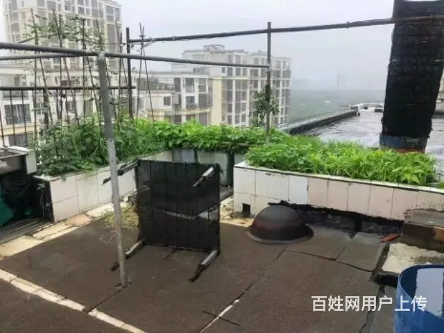 美林湖旁香树湾名苑复试 楼上楼下露台 空中花园 葡萄园 83 - 图片 4