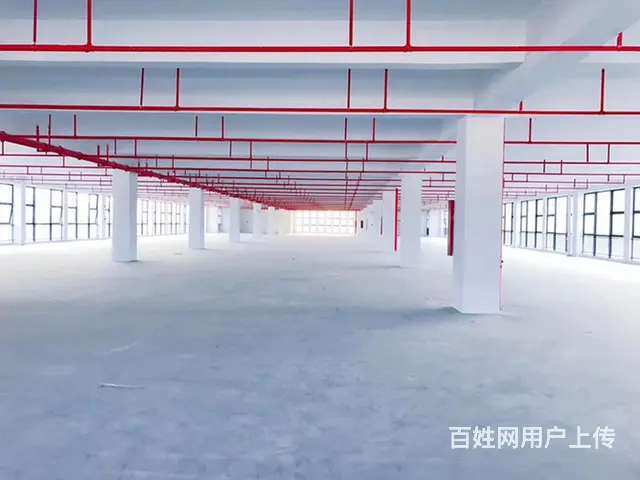 企租租免中介费珠海白蕉82800平米厂房招租可分租 - 图片 3
