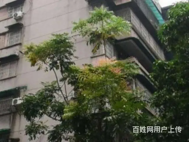 西门口地铁站旁美东大厦罕见超高性价比精装修两房一厅 - 图片 11