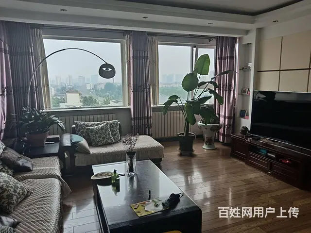 精装修  楼层可以看整个植物园 - 图片