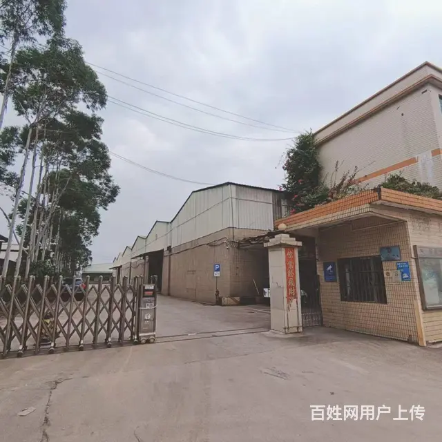 仙村厂房仓库出租出租 - 图片 4