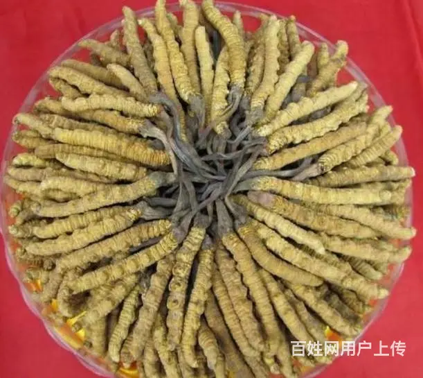 蚌埠回收茅台酒 五粮液 各种高档烟酒 冬虫夏草 - 图片 7