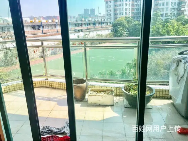 白天鹅花园二期  南向 他有一股奇异魅力 身不由己 - 图片 12