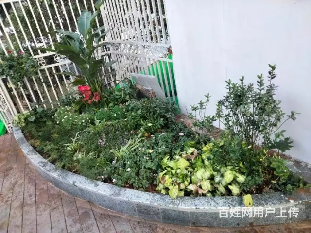 家庭庭院花园设计施工,养护 - 图片 8