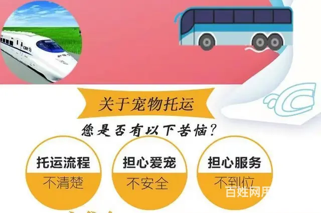 徐州丰县托运宠物 （猫狗活体运输）快递至全国各地 - 图片 3