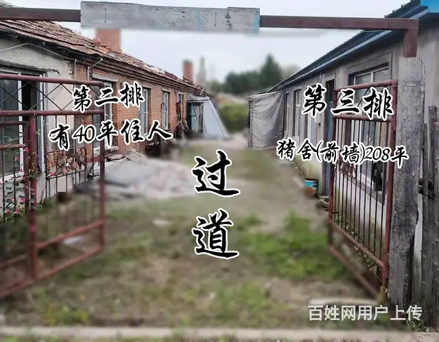 出售东山区新水源林场小屯一处平房养猪房，原来是三户人家，合并 - 图片 1