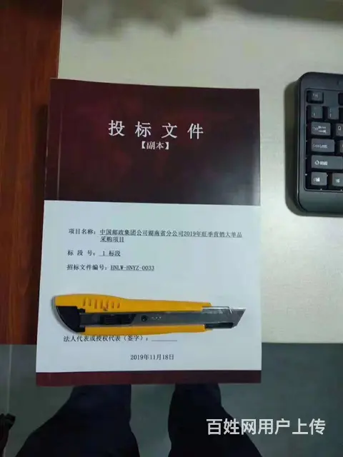 济宁做标书 找人代写标书就找山东茄子网络科技公司 - 图片 3