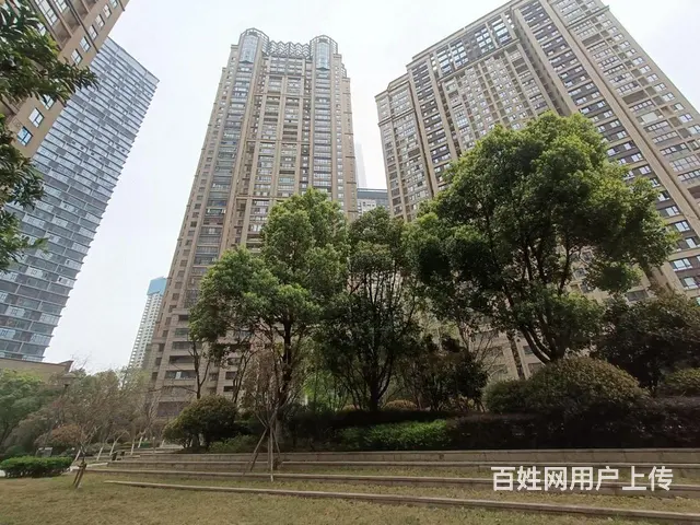 接待 办共 绿地  缤纷城 万象城 国际金融城 - 图片 10