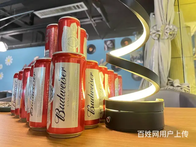 7941(七P)个人城中区香格里拉商业圈台球厅对外转让 - 图片 9