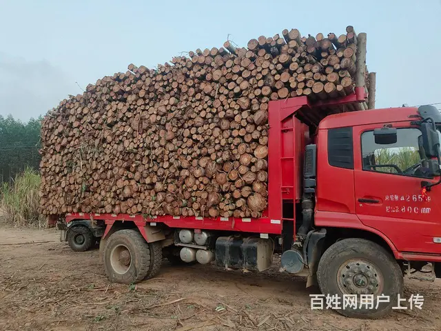 东风 自卸车 国5 - 图片 3