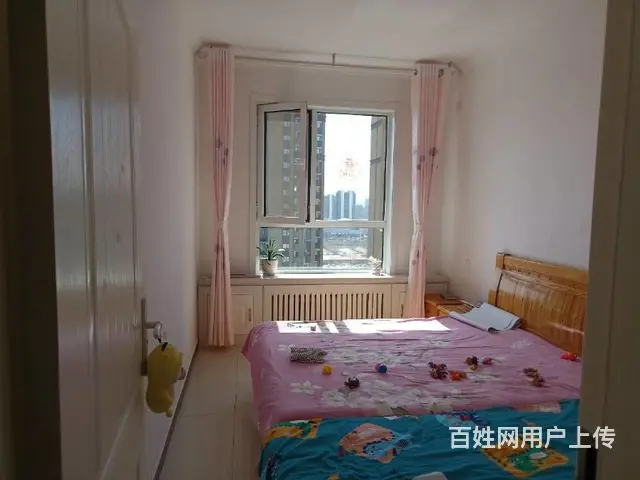 松山十万合福邸 大三阳电梯中层，精装修，无捆绑，看房随时 - 图片 5