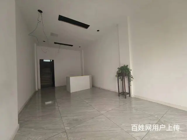 望月路沿街朝南旺铺招租 - 图片 3