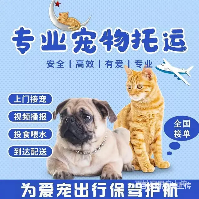林芝宠物托运（猫狗）邮寄快递运输（承接所有活体运输 - 图片 8
